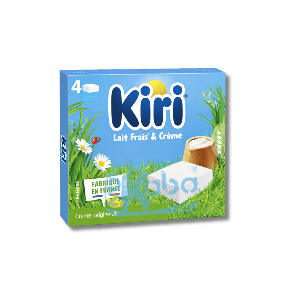 Kiri Cheese Portions T4